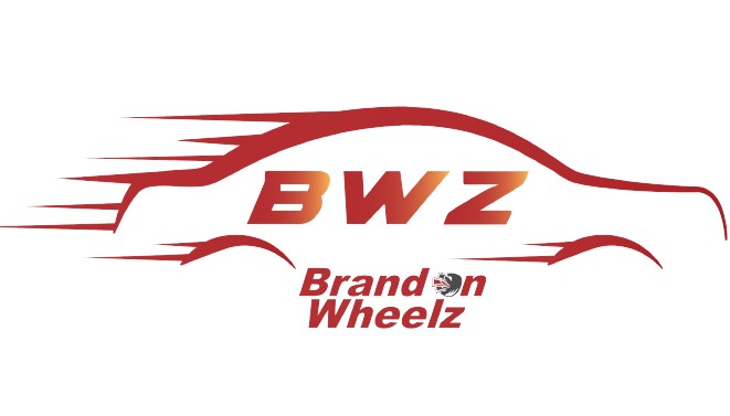 bwz logo